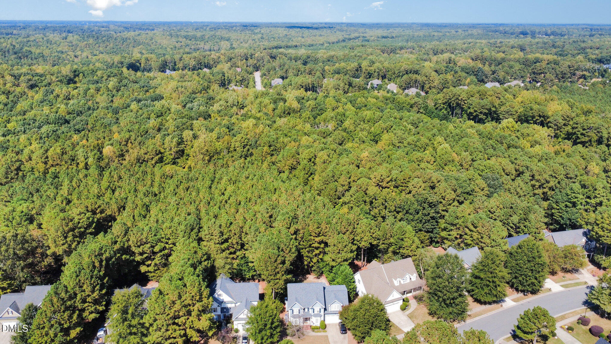 1613 Strategy Way Wake Forest, NC 27587 - Photo 29 of 40 an aerial view of a houses with yard