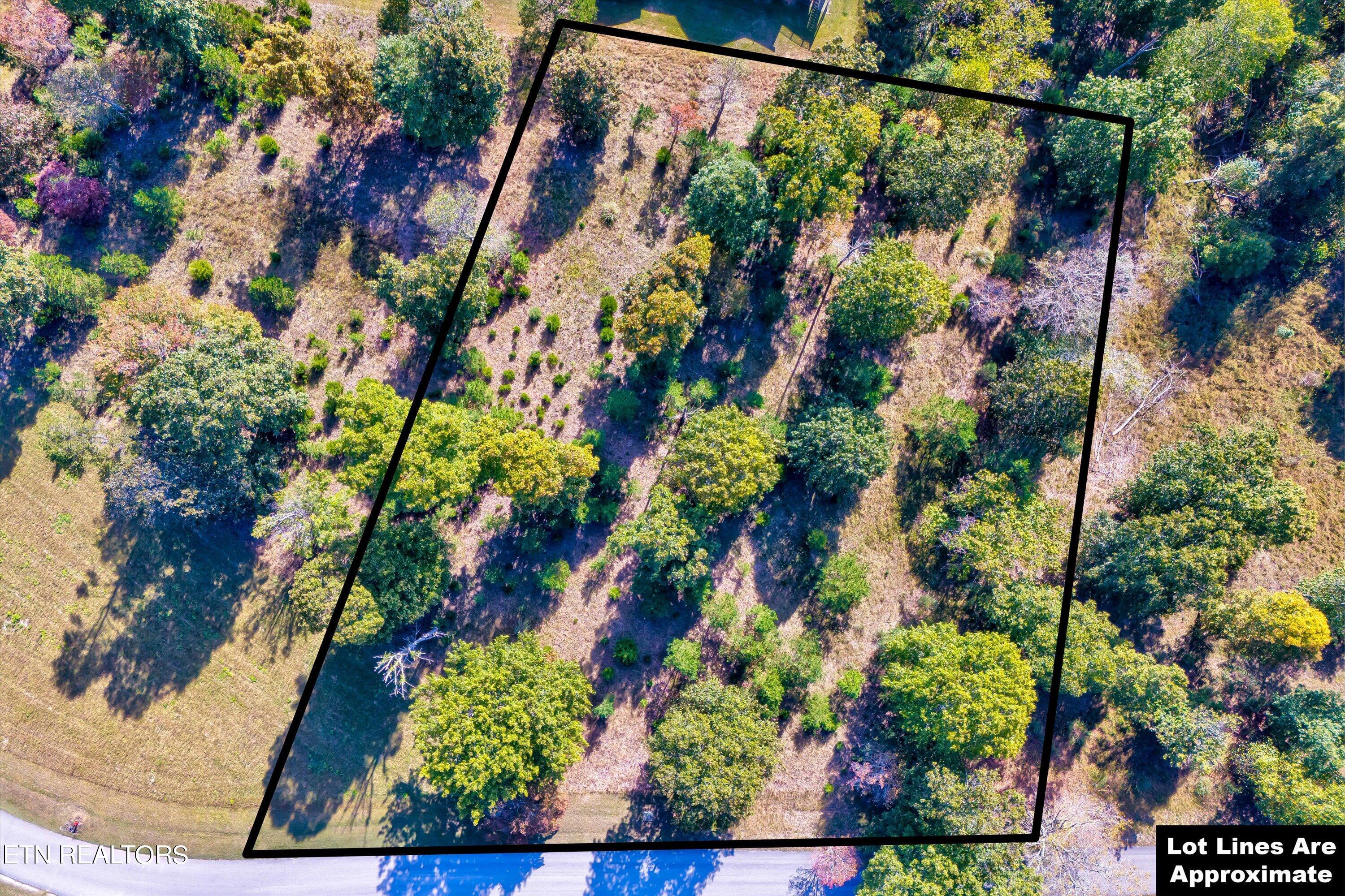 Deerfield Way La Follette, TN 37766 - Photo 3 of 18 Approximate Lot Lines