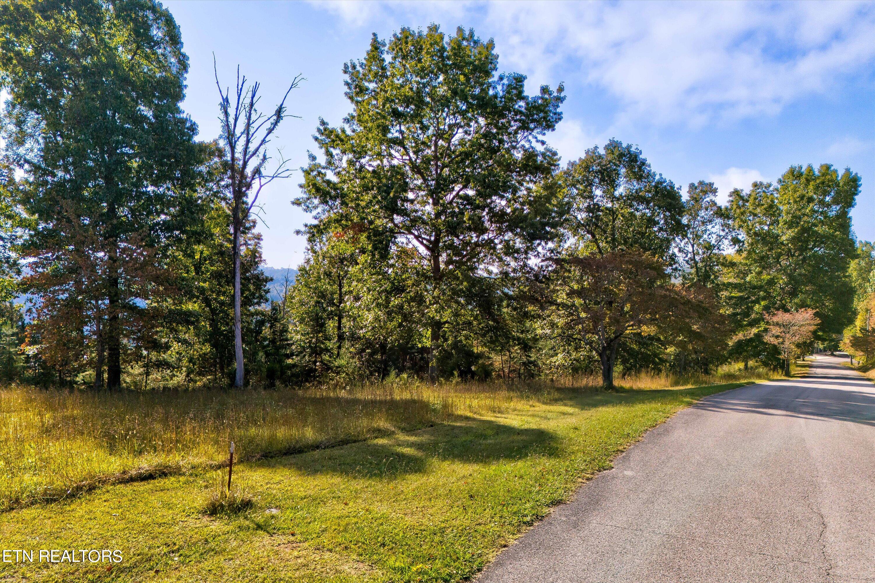 Deerfield Way La Follette, TN 37766 - Photo 4 of 18 StreetView