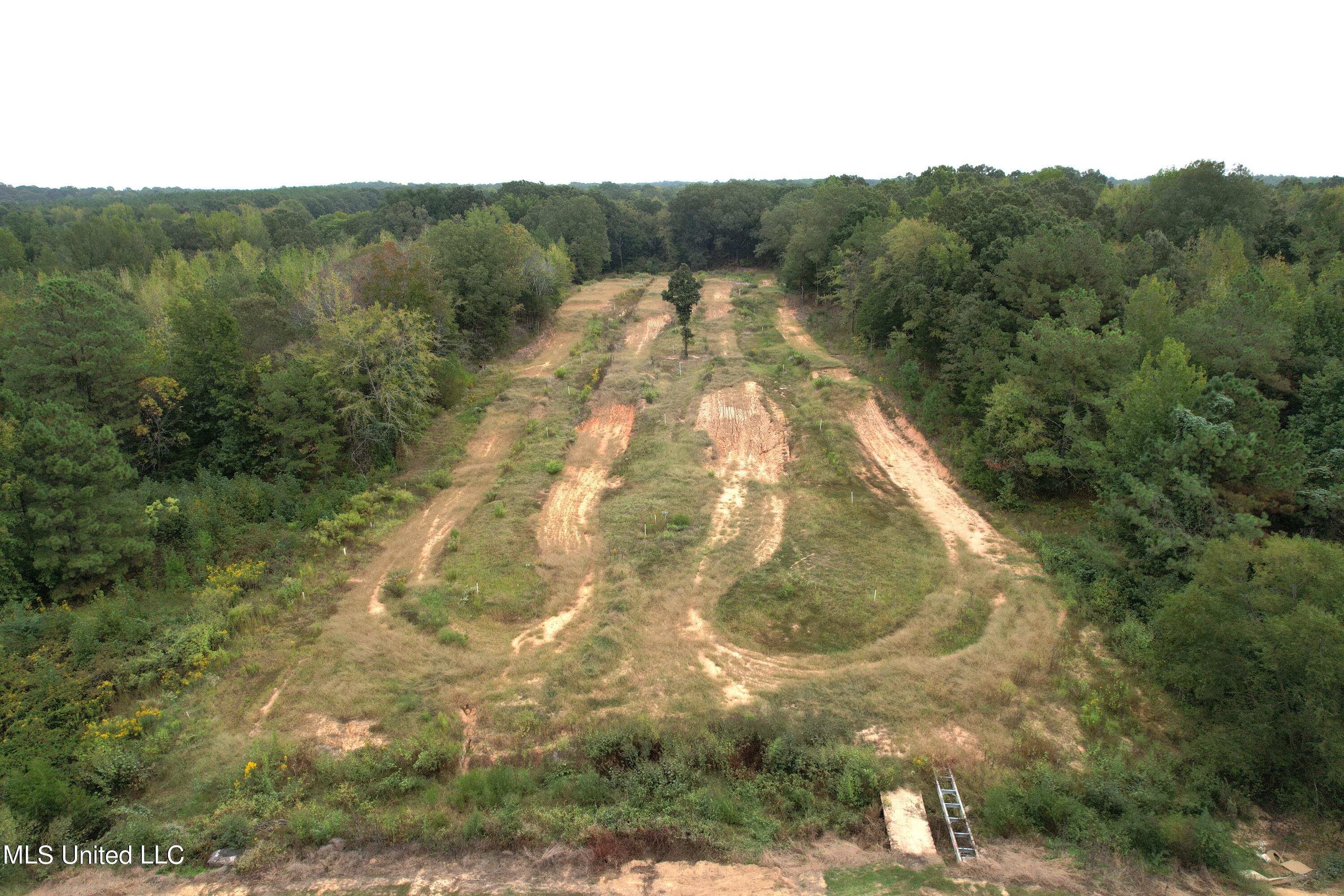 970 Barr Road Coldwater, MS 38618 - Photo 4 of 14 DJI_0283