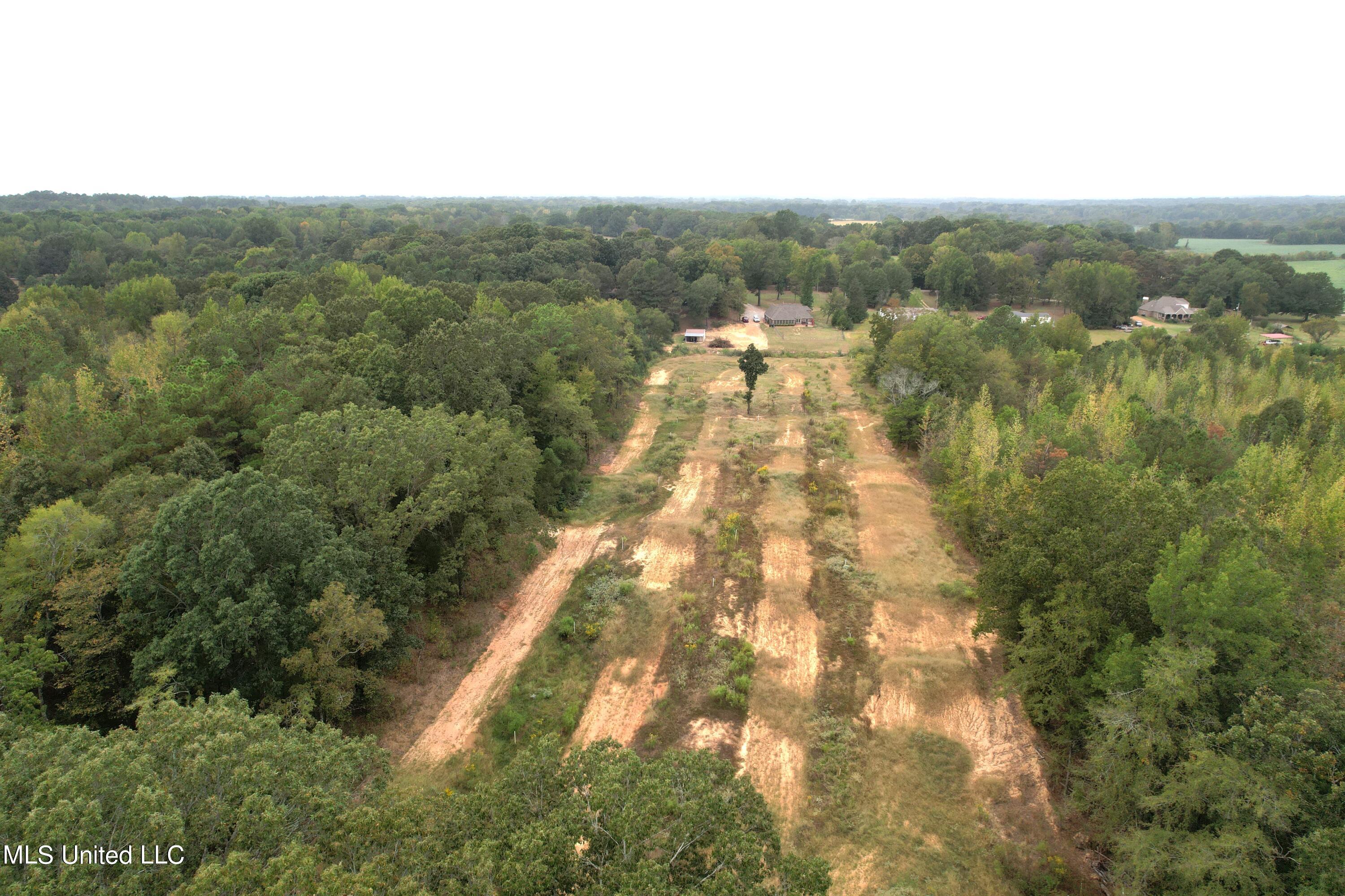 970 Barr Road Coldwater, MS 38618 - Photo 5 of 14 DJI_0284