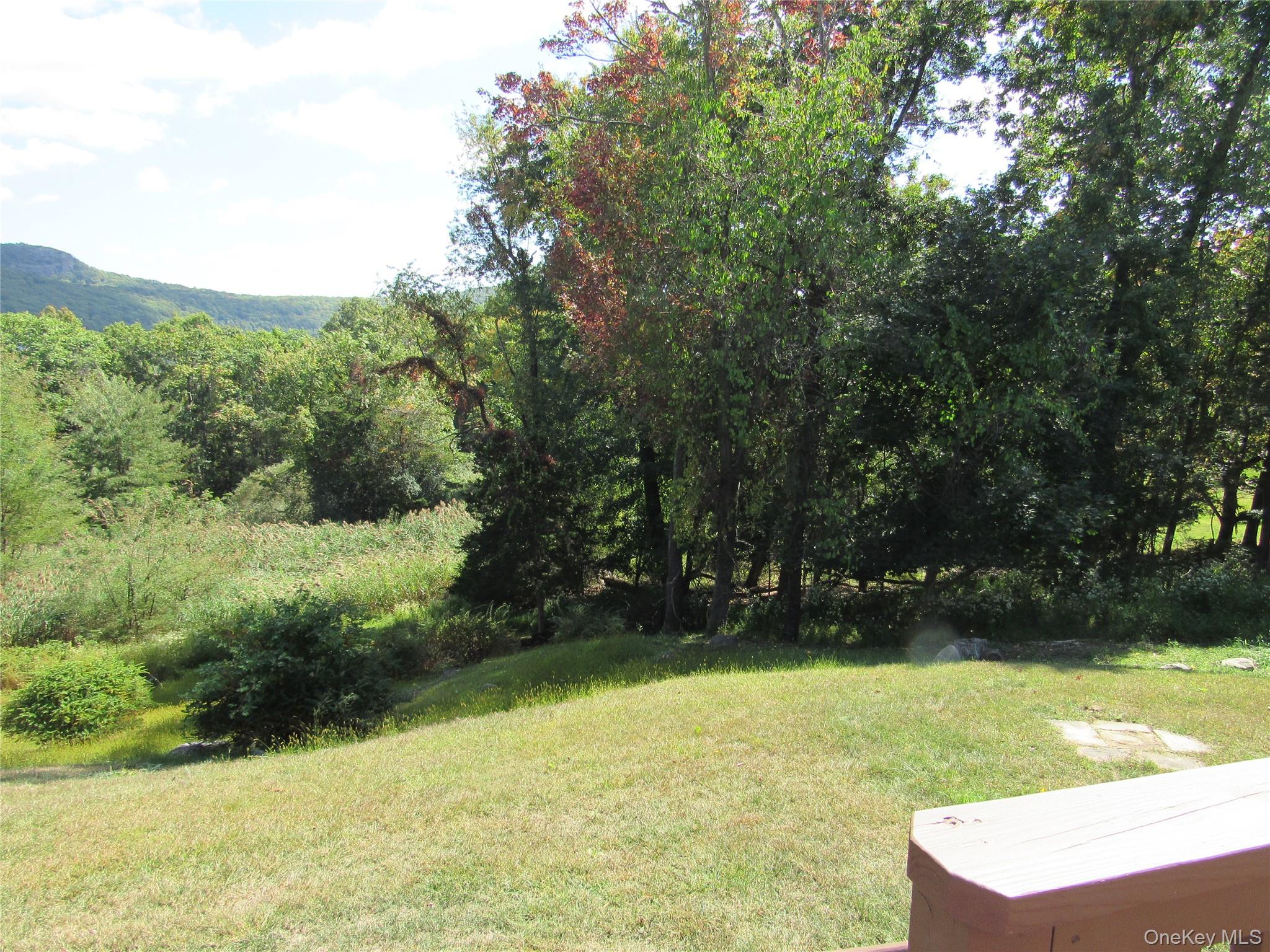 107 Pine Hill Road Chester, NY 10918 - Photo 27 of 33