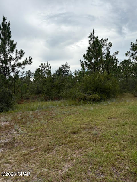 4539 Northwest White Road Altha, FL 32421 - Photo 33 of 82