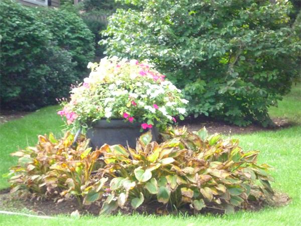 14 Heath Road Peabody, MA 01960 - Photo 7 of 26 Gallery Image 7
