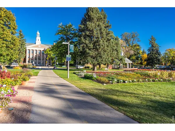 a view of a park with large trees