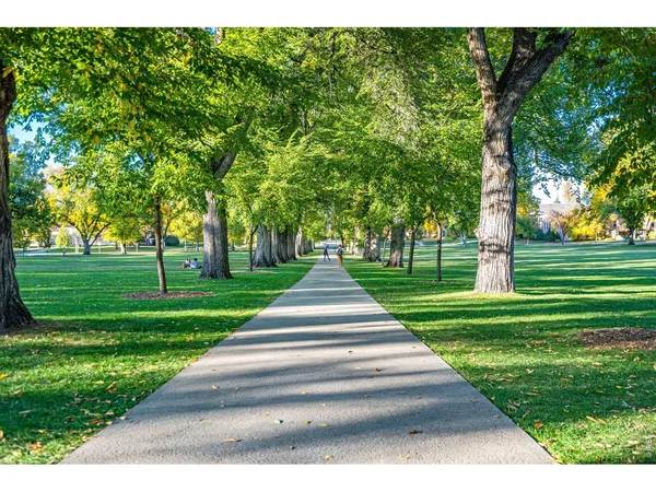 a view of yard with cars parked