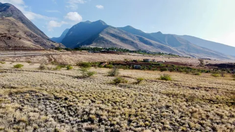 a view of a lake with a mountain in the background