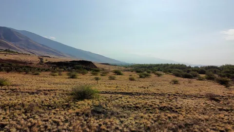 a view of ocean view with beach