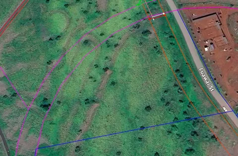 a view of a yard with plants