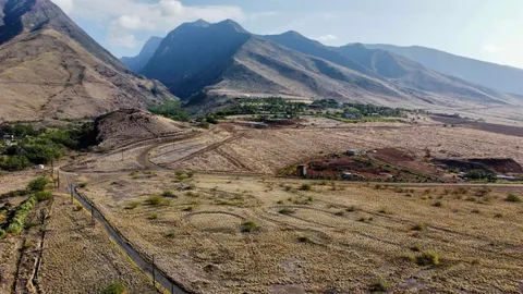 a view of a dry yard with wooden fence