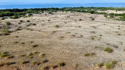 a view of a dry yard with wooden fence