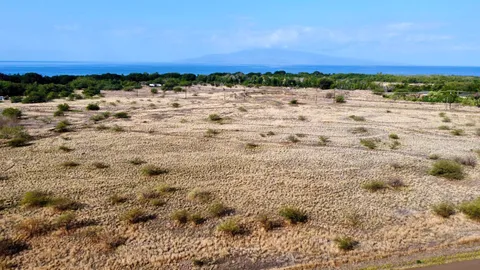 a view of beach and city
