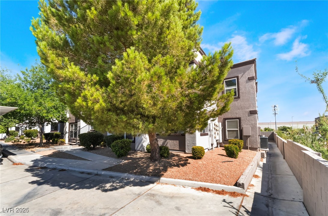 View of property hidden behind natural elements featuring stucco siding