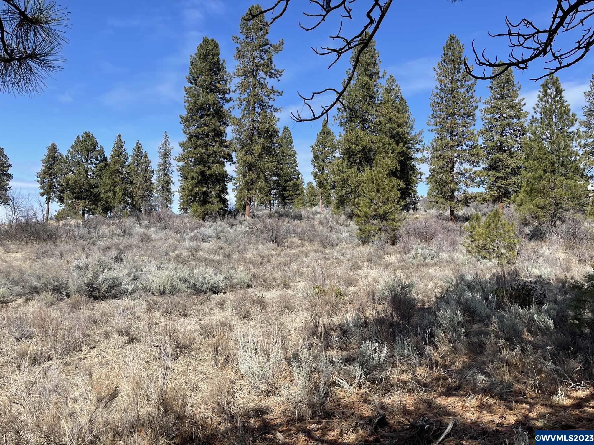Irving (lot Chiloquin, OR 97624 - Photo 6 of 9