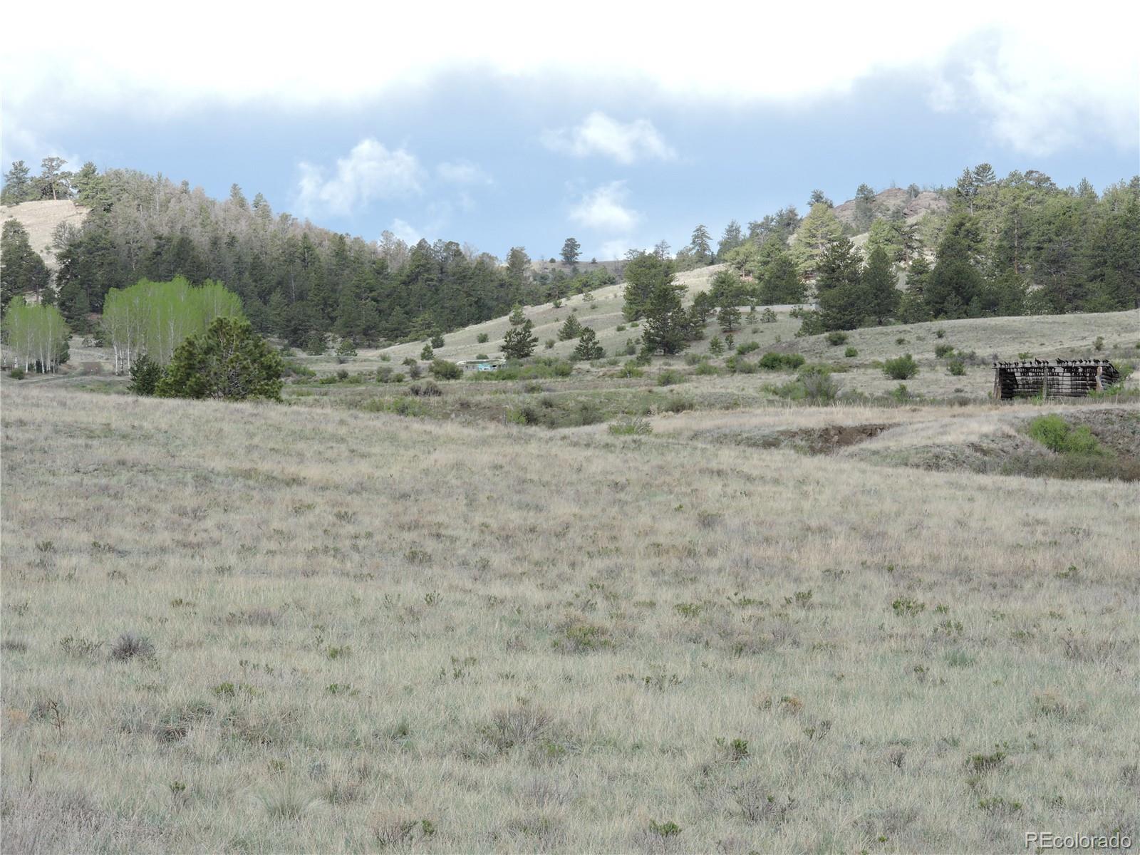 61 Hill Road Hartsel, CO 80449 - Photo 1 of 20
