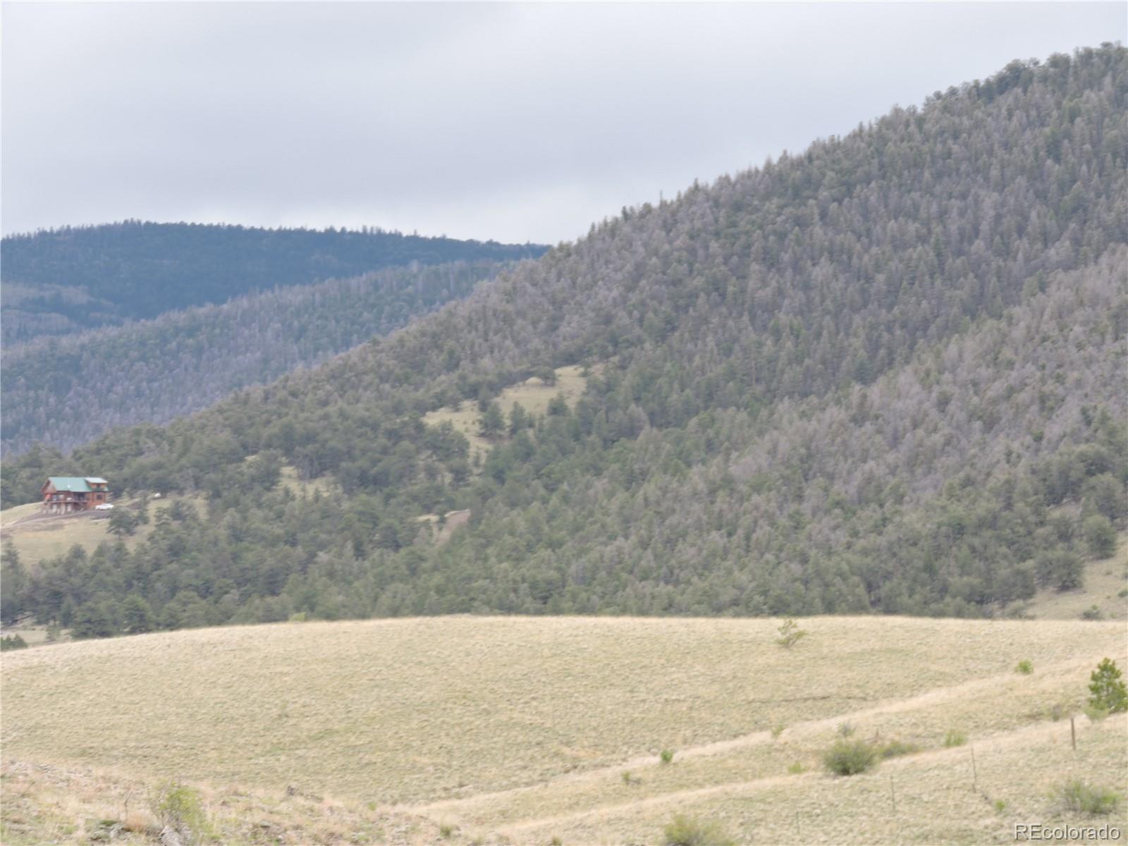 61 Hill Road Hartsel, CO 80449 - Photo 11 of 20