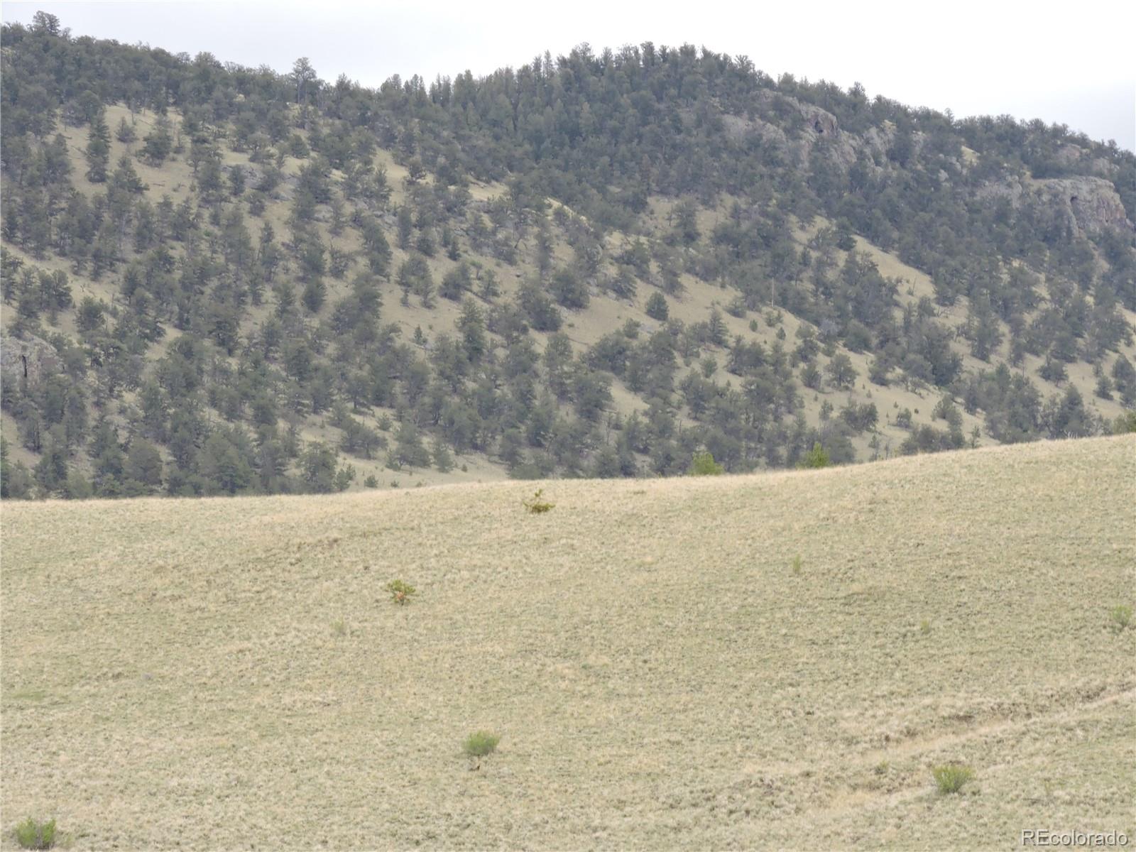 61 Hill Road Hartsel, CO 80449 - Photo 12 of 20