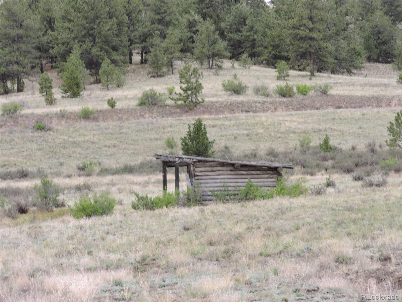 61 Hill Road Hartsel, CO 80449 - Photo 13 of 20