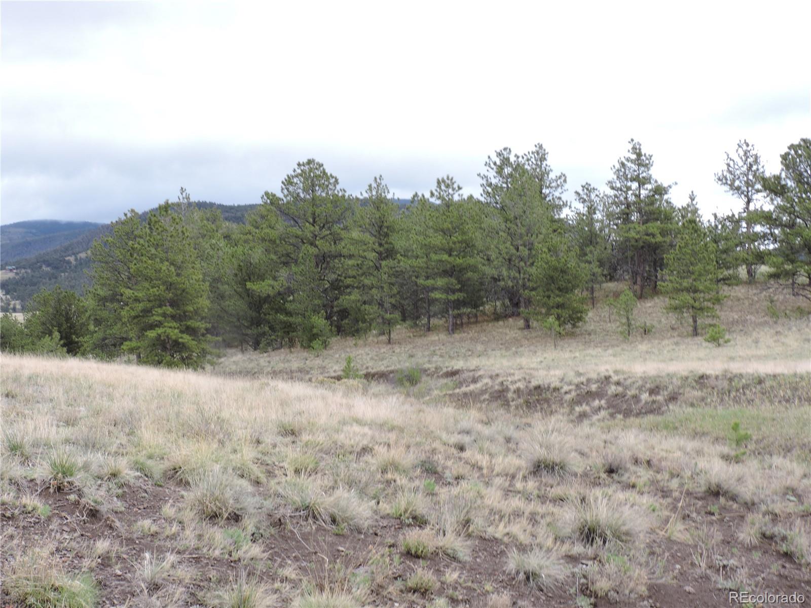61 Hill Road Hartsel, CO 80449 - Photo 14 of 20