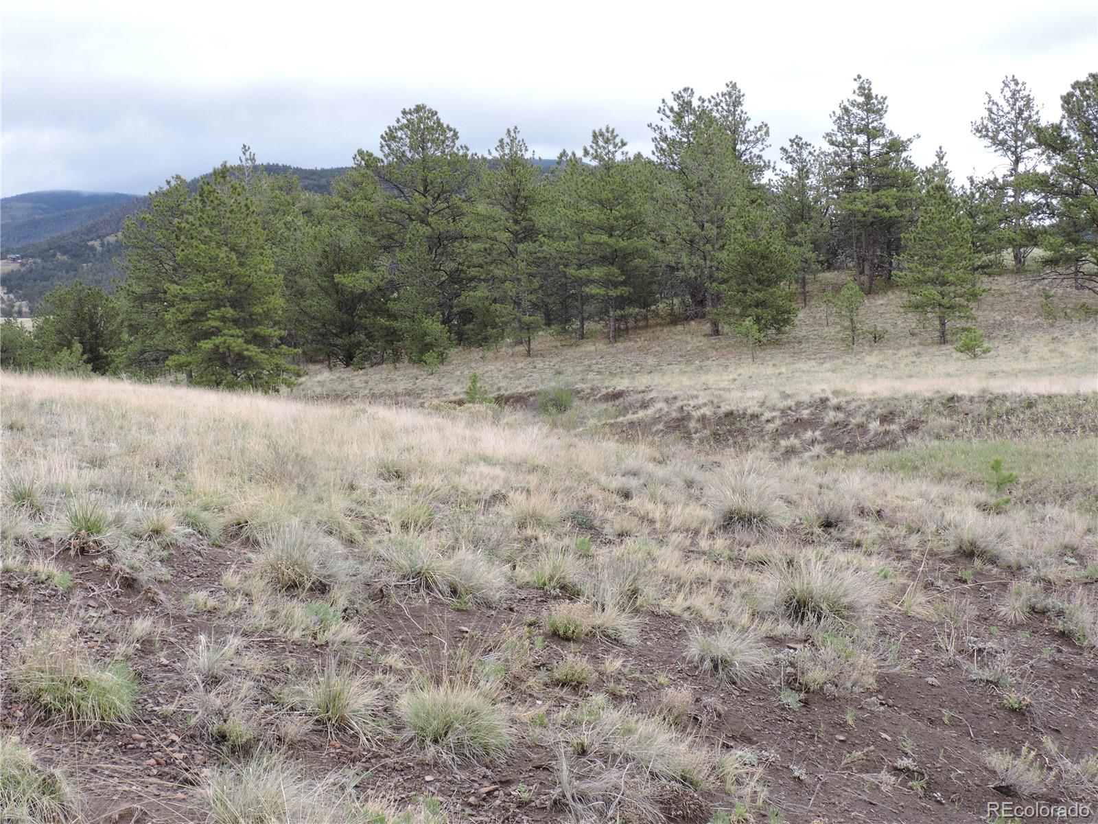 61 Hill Road Hartsel, CO 80449 - Photo 15 of 20