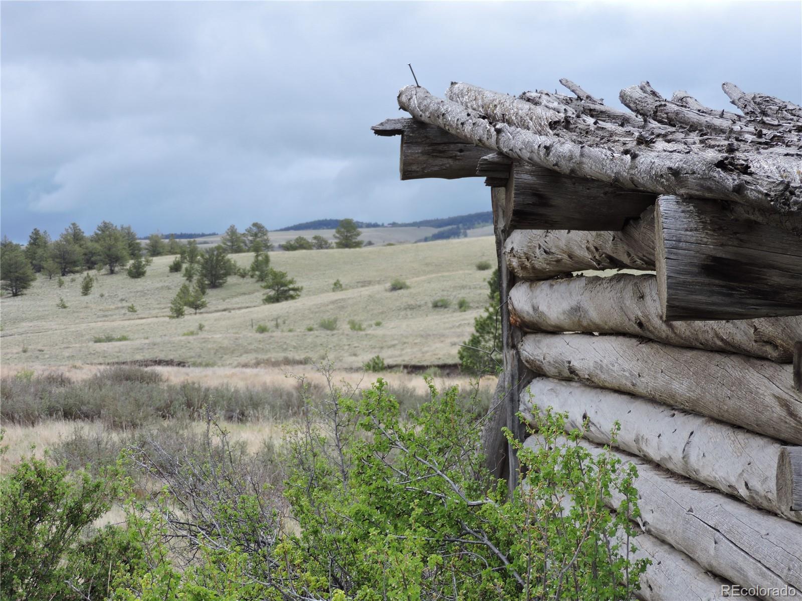 61 Hill Road Hartsel, CO 80449 - Photo 4 of 20