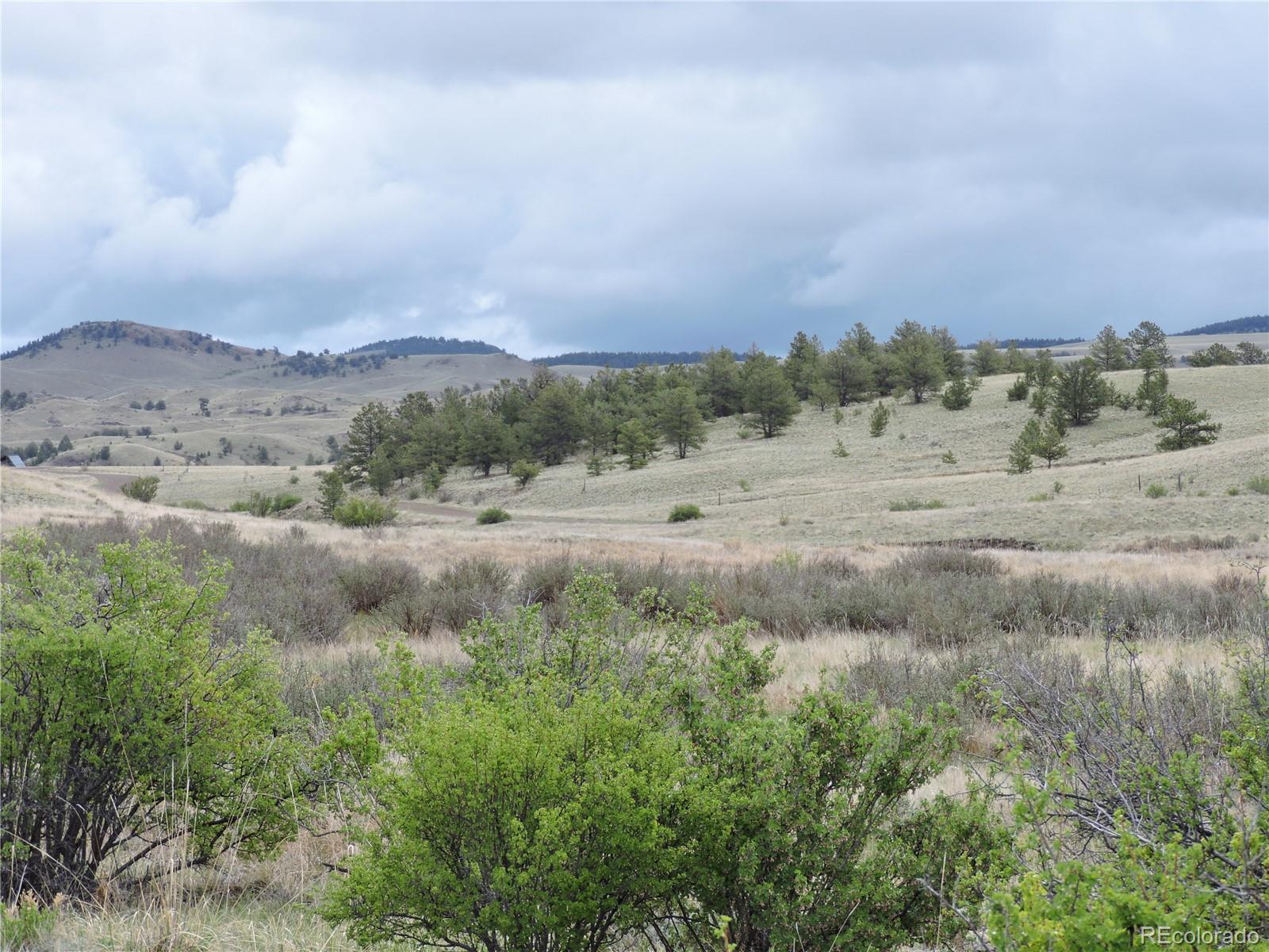 61 Hill Road Hartsel, CO 80449 - Photo 5 of 20