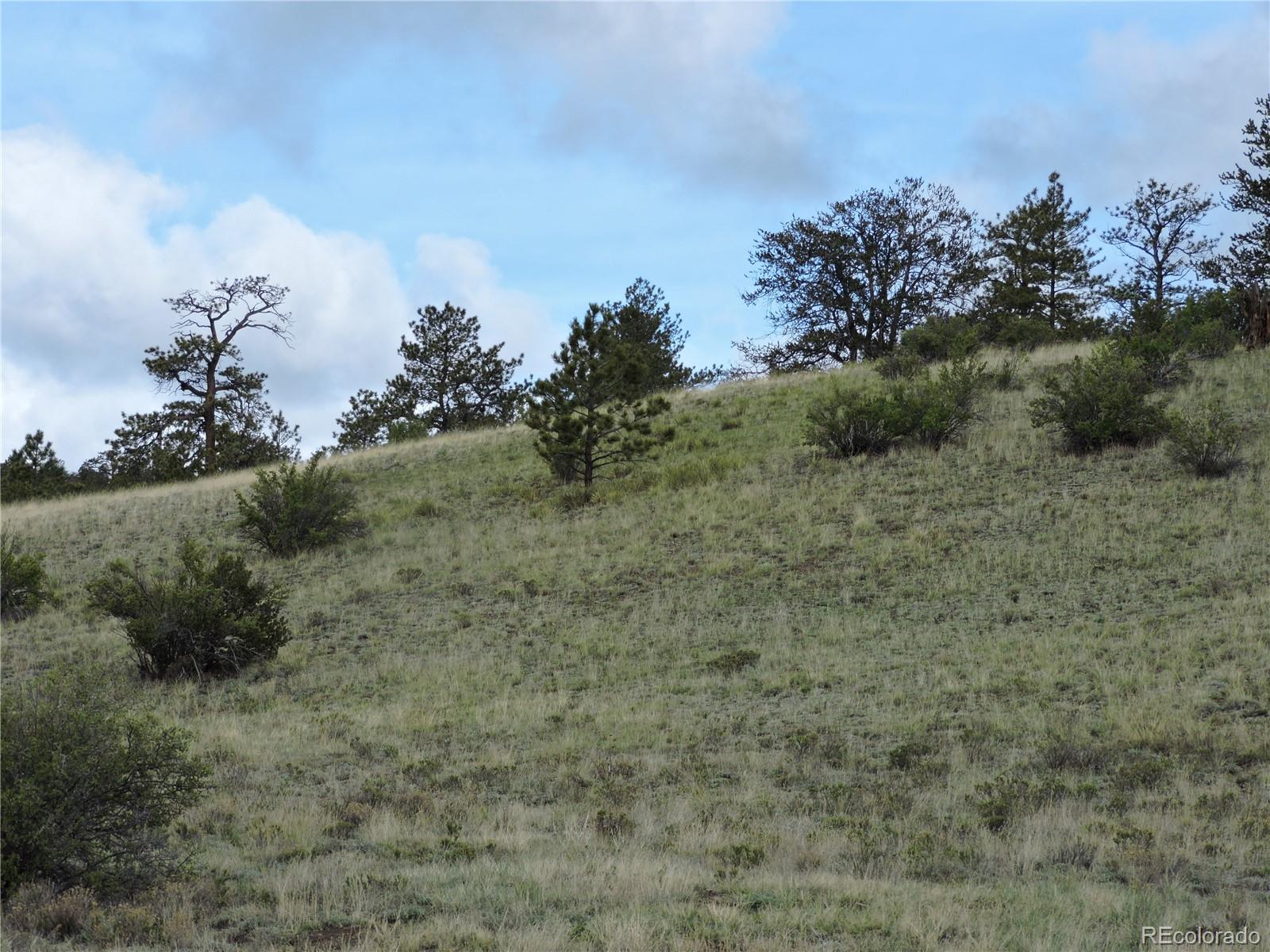 61 Hill Road Hartsel, CO 80449 - Photo 8 of 20