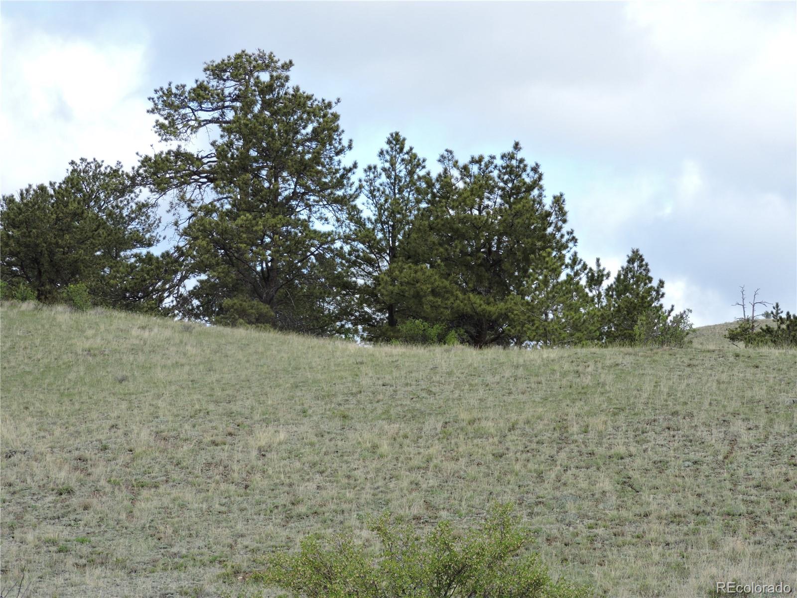 61 Hill Road Hartsel, CO 80449 - Photo 9 of 20