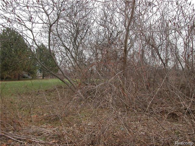 Waterf Chatham Road Grosse Ile, MI 48138 - Photo 3 of 6 Gallery Image 3