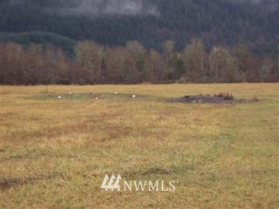 193 River Ranch Road Randle, WA 98377 - Photo 1 of 1 Gallery Image 1