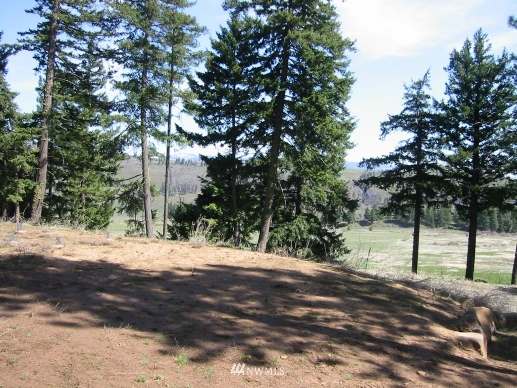 8391 Thorp Prairie Road Cle Elum, WA 98922 - Photo 12 of 12 Gallery Image 12