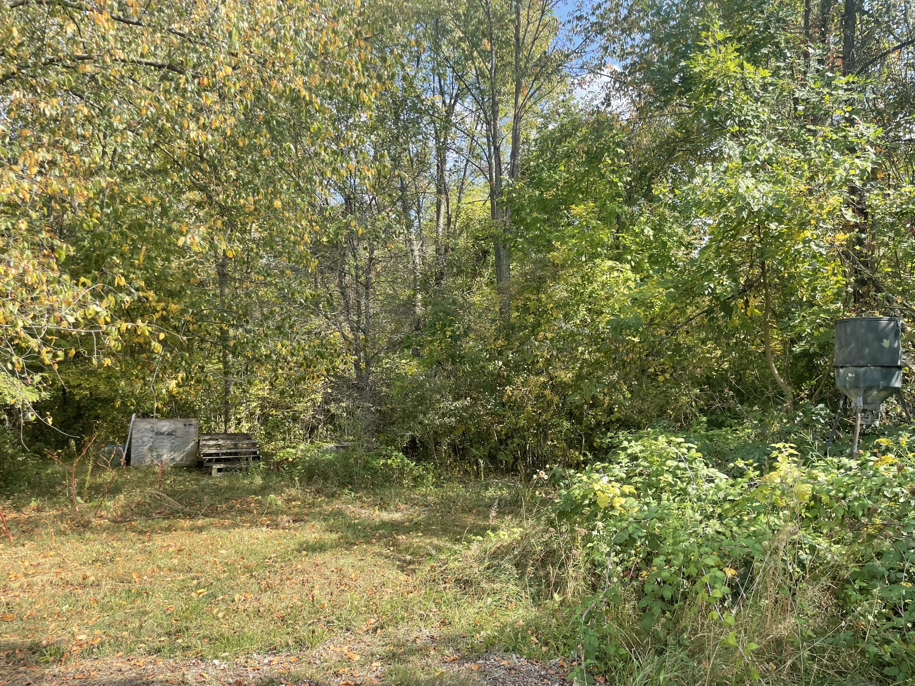 14525 Sharon Hollow Road Manchester, MI 48158 - Photo 17 of 20 beautiful surroundings