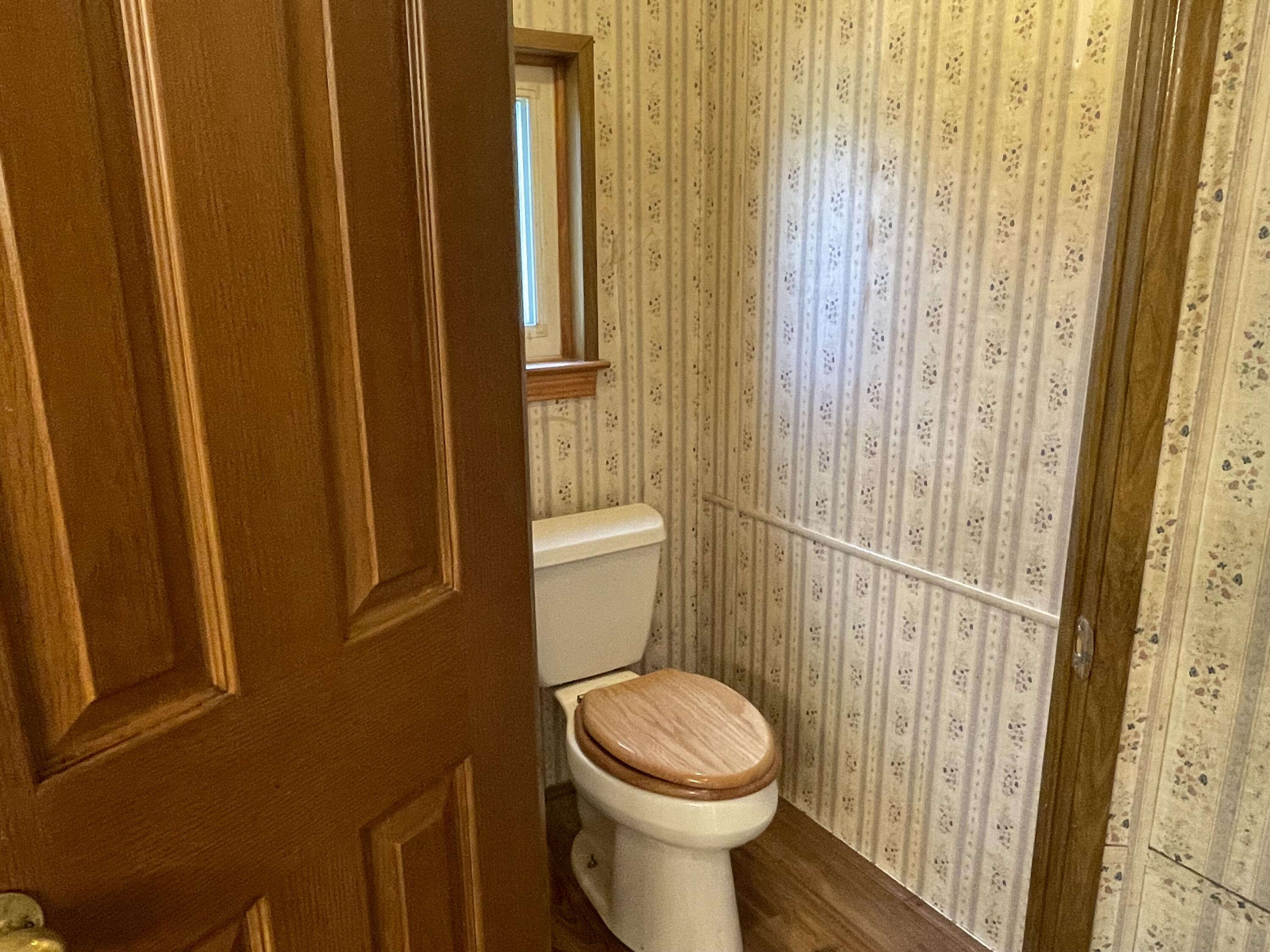 14525 Sharon Hollow Road Manchester, MI 48158 - Photo 10 of 20 primary toilet