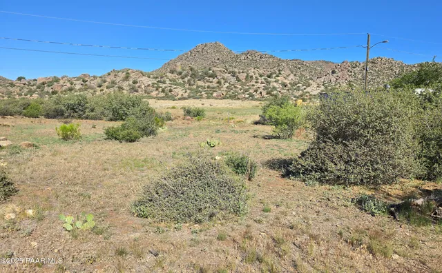 a view of a large tree with a mountain in the background