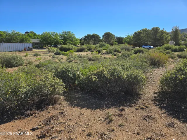 a view of a yard with trees in the background