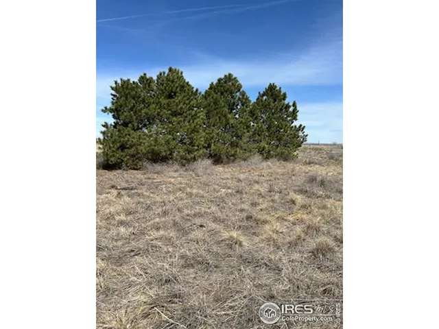 $590,000 | 20528 County Road 3, Wiggins, CO 80654