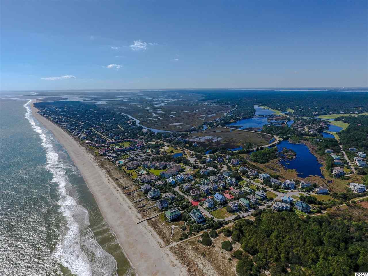 Lot 53 Permit Court Georgetown, SC 29440 - Photo 4 of 13 Gallery Image 4