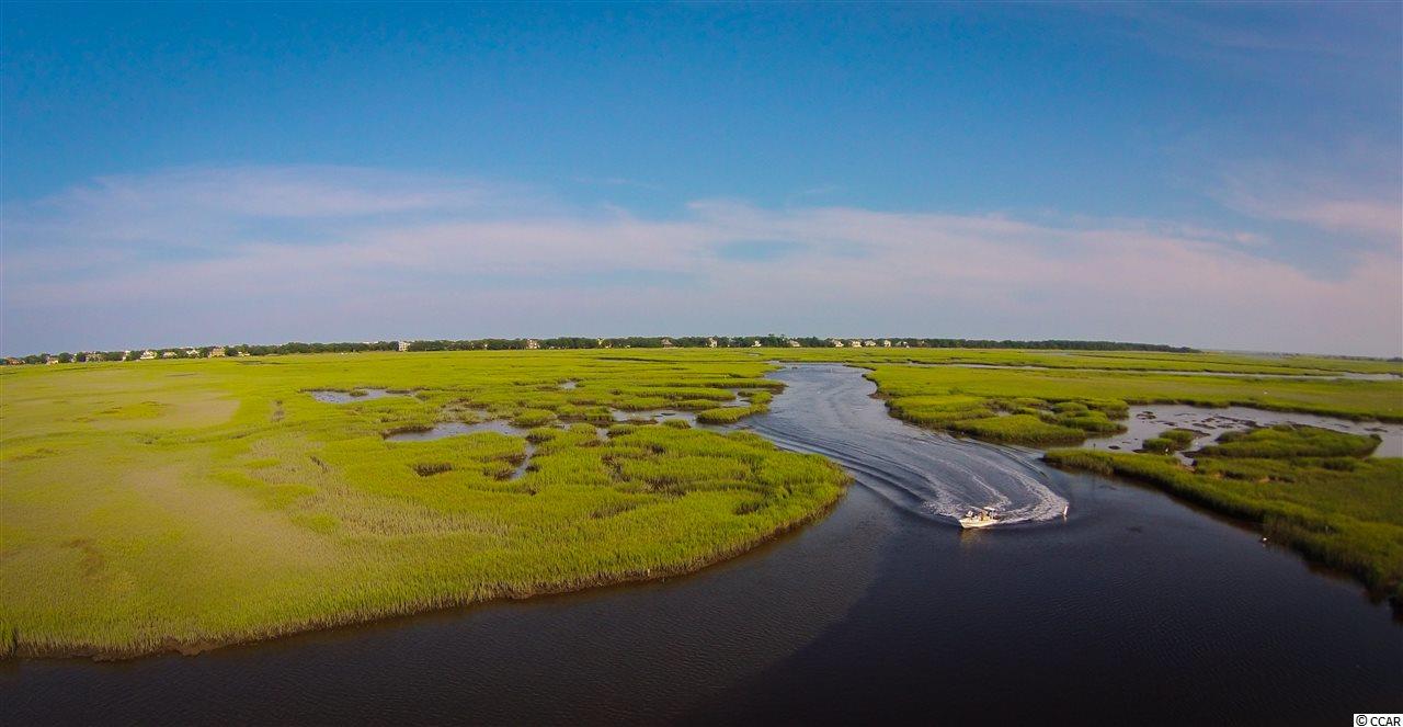 Lot 53 Permit Court Georgetown, SC 29440 - Photo 7 of 13 Gallery Image 7