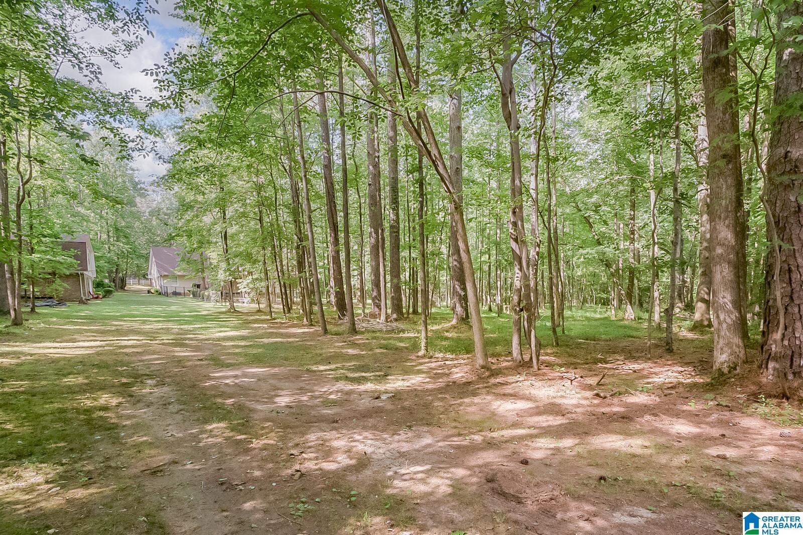 6867 Deer Haven Road Pinson, AL 35126 - Photo 38 of 50