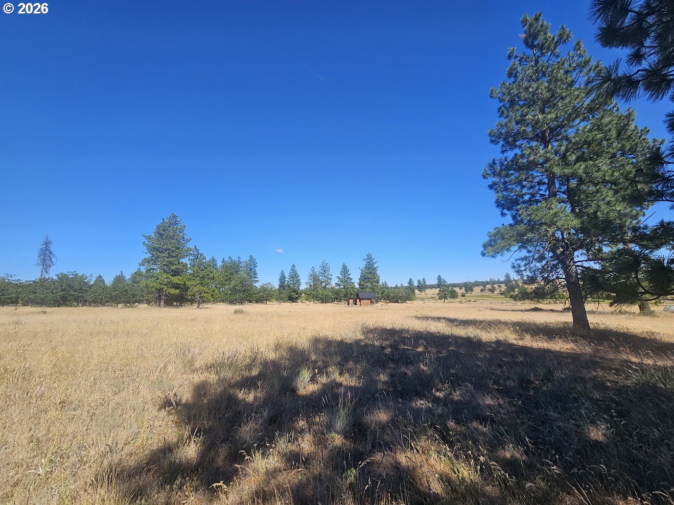 67 Timber Lane Roosevelt, WA 99356 - Photo 25 of 37 a view of an ocean and beach