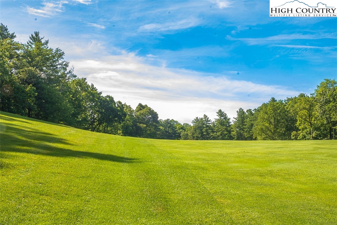 825 Ridge Road Glade Valley, NC 28627 - Photo 6 of 24 Gallery Image 6