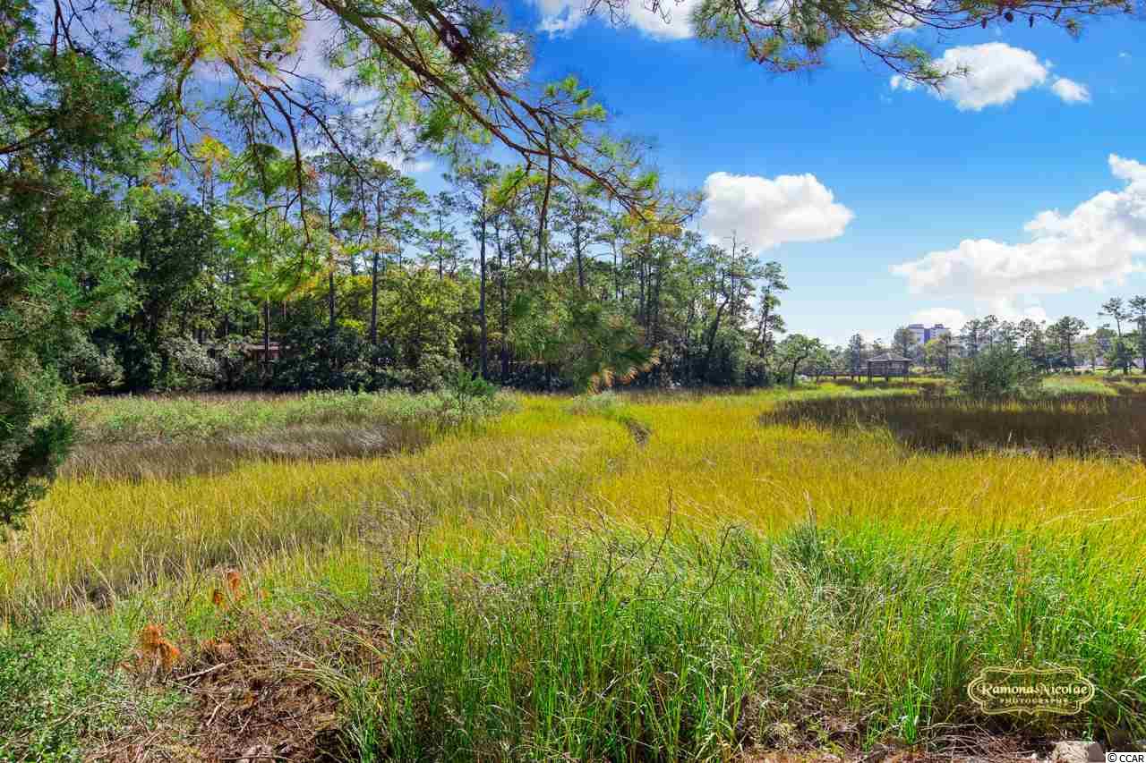 712 Charlotte Road Myrtle Beach, SC 29577 - Photo 17 of 32 Gallery Image 17