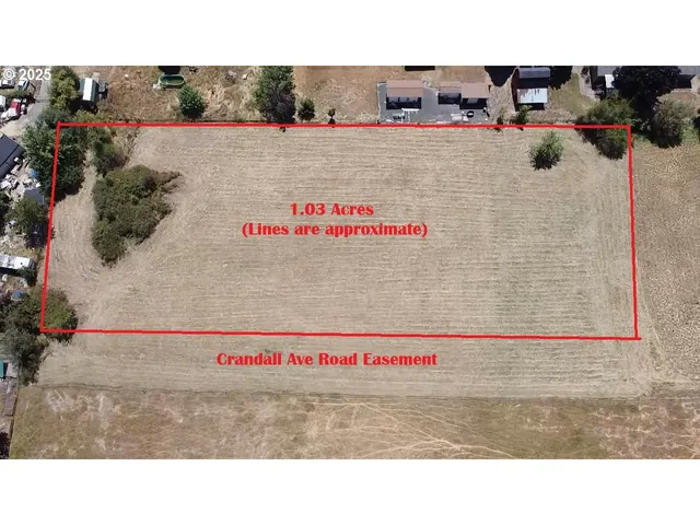 a street with lots of trees in the background