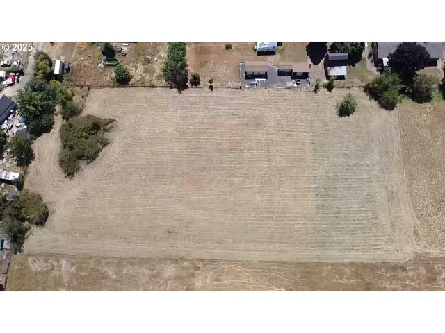 a black and white photo of a lake