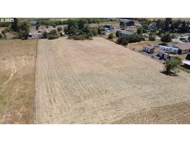 a black and white photo of a lake