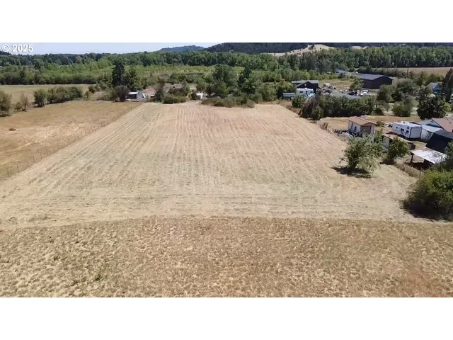 a black and white photo of a park