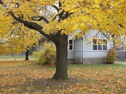 2336 North Linden Road Flint, MI 48504 - Photo 2 of 19 20424654-1.JPG