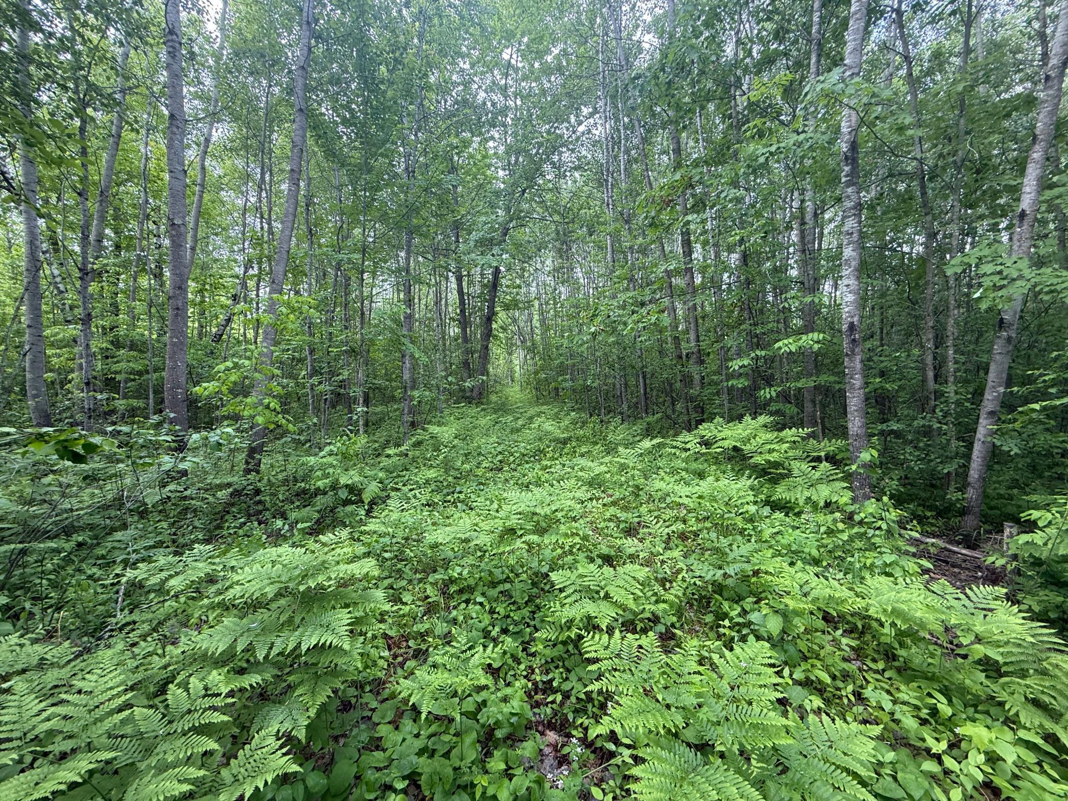 10551 Mallard Road Brook Park, MN 55007 - Photo 25 of 44
