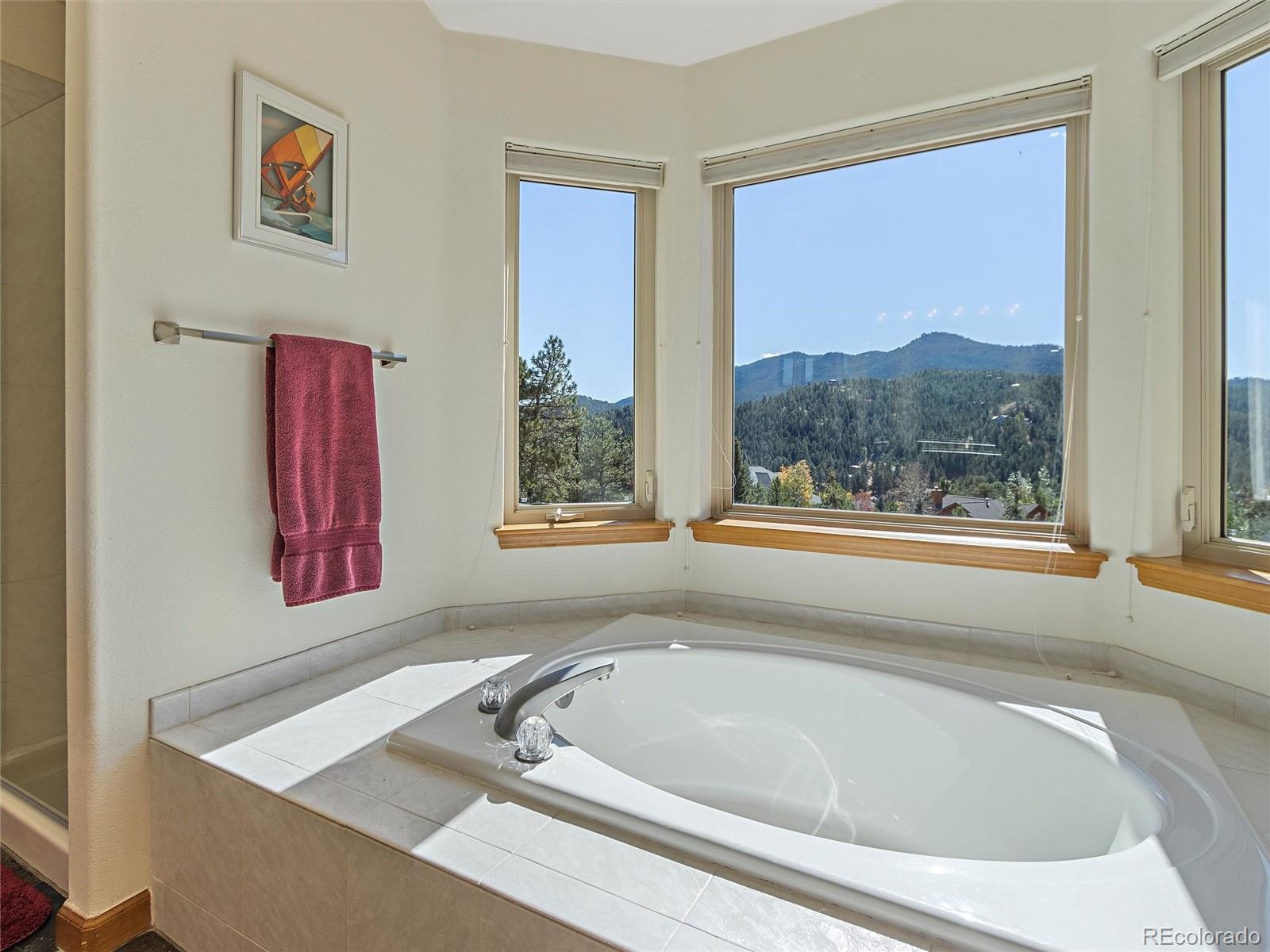 27192 Sun Ridge Drive Evergreen, CO 80439 - Photo 23 of 35 Gallery Image 23
