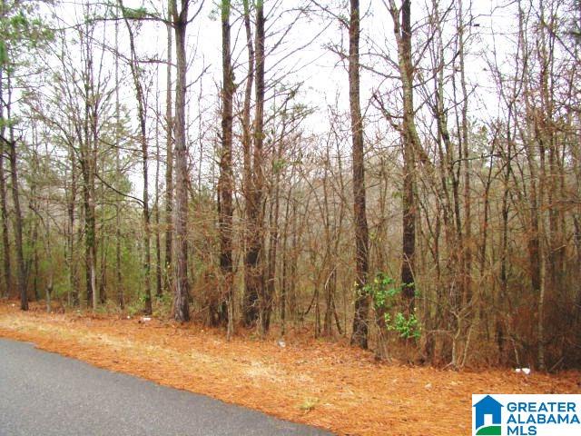 4494 Roy Webb Cutoff Road, Unit 1 Piedmont, AL 36272 - Photo 2 of 4